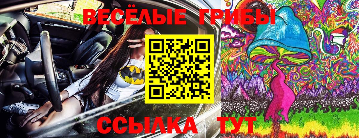 Псилоцибиновые грибы GOLDEN TEACHER Благовещенск